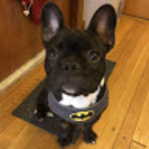 Meet your Posher, Kim